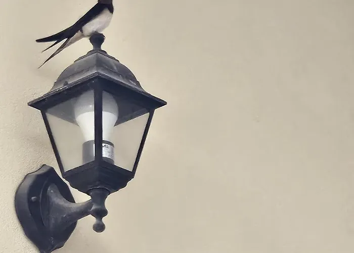 Vendégház Le Rondini Domus de Maria