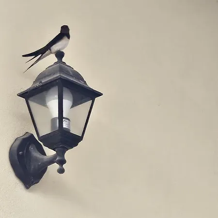 Gasthof Le Rondini Domus De Maria