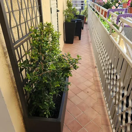 بيت ضيافة Le Rondini